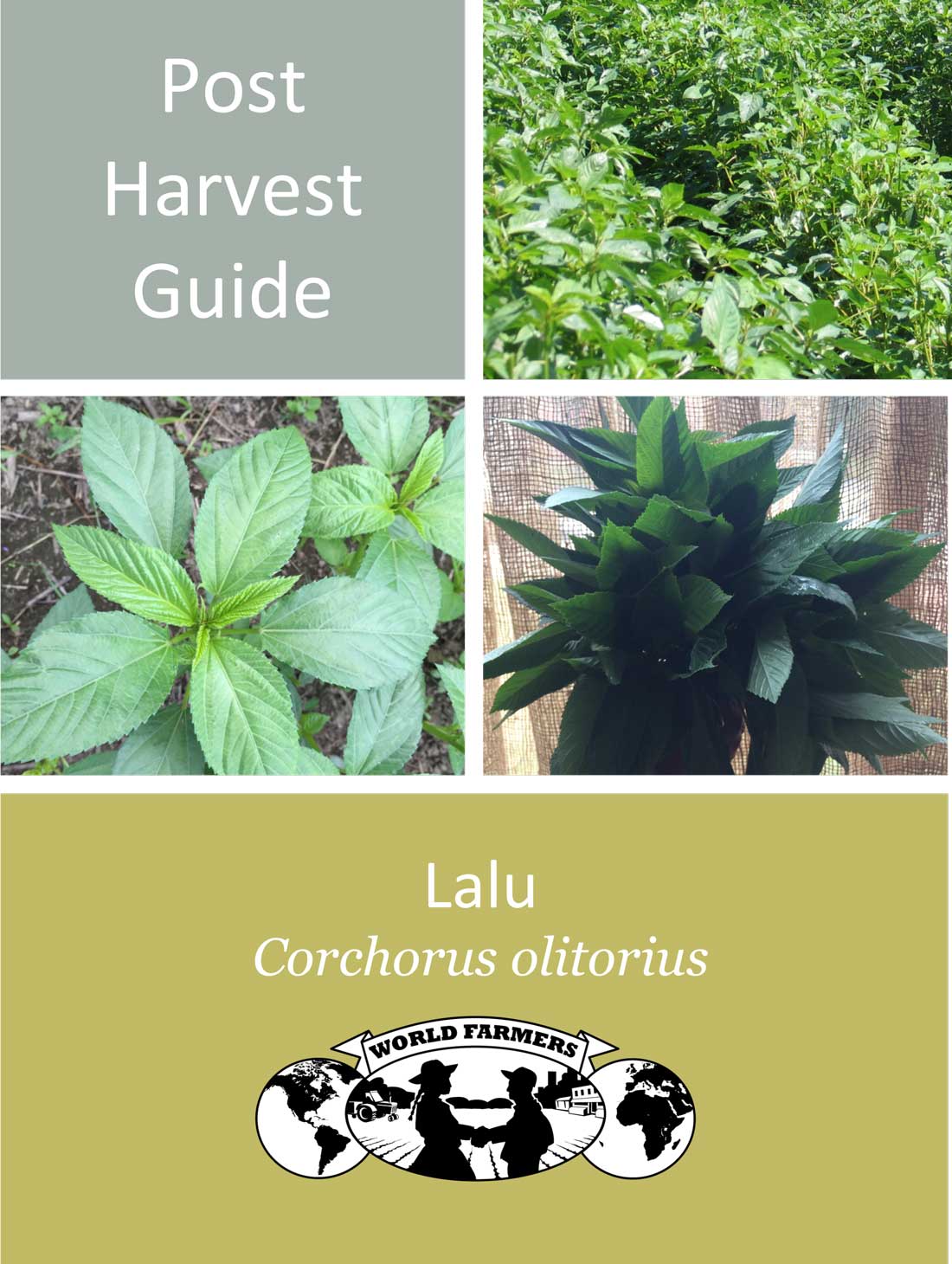 Lalu-Post-Harvest-Guide_Cover