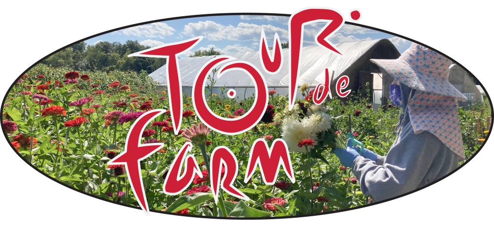 Tour2026Logo